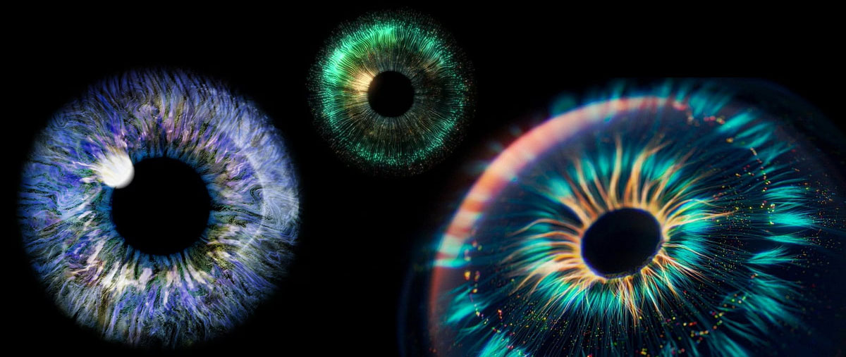 Image Carrousel 1 (ex: montage 2 iris)