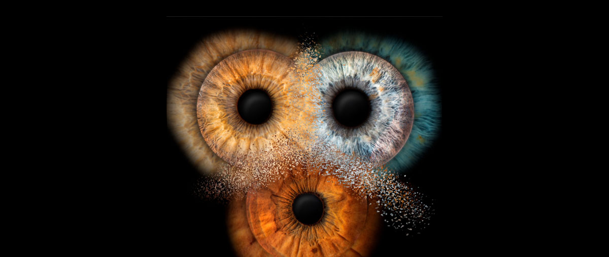 Image Carrousel 1 (ex: montage 2 iris)